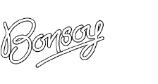 Bonsoy